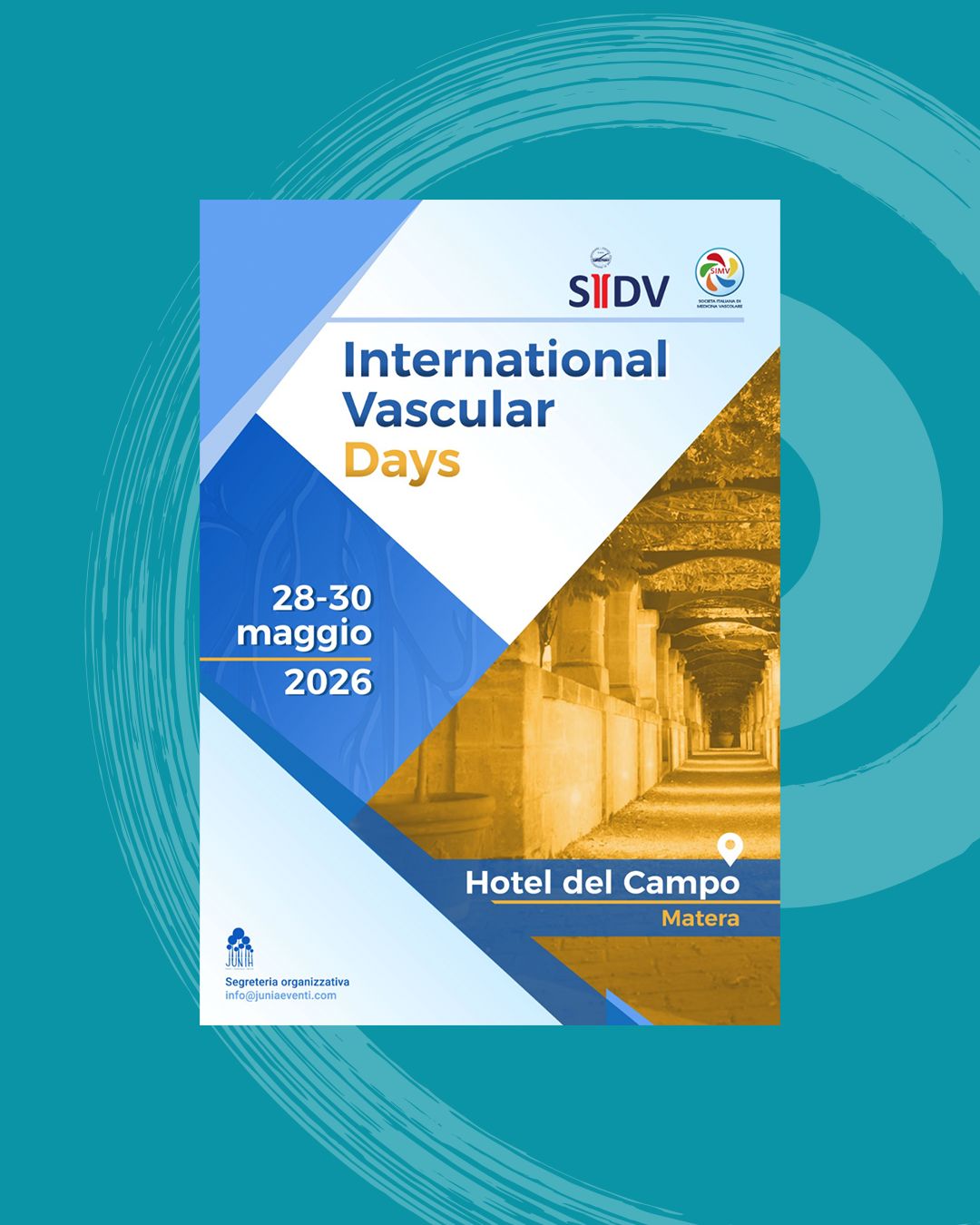 International Vascular Days