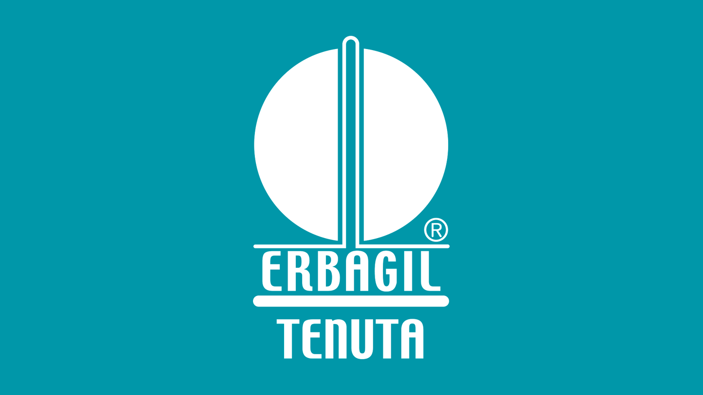 Erbagil
