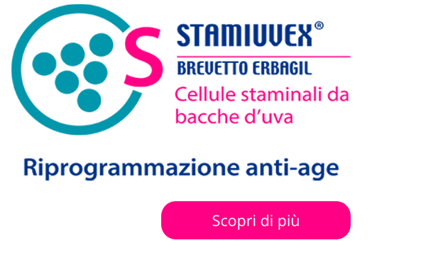 Brevetto Stamiuex